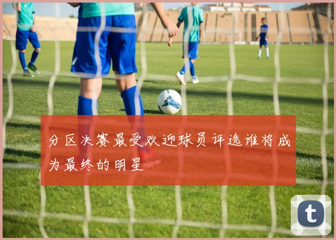 分区决赛最受欢迎球员评选谁将成为最终的明星